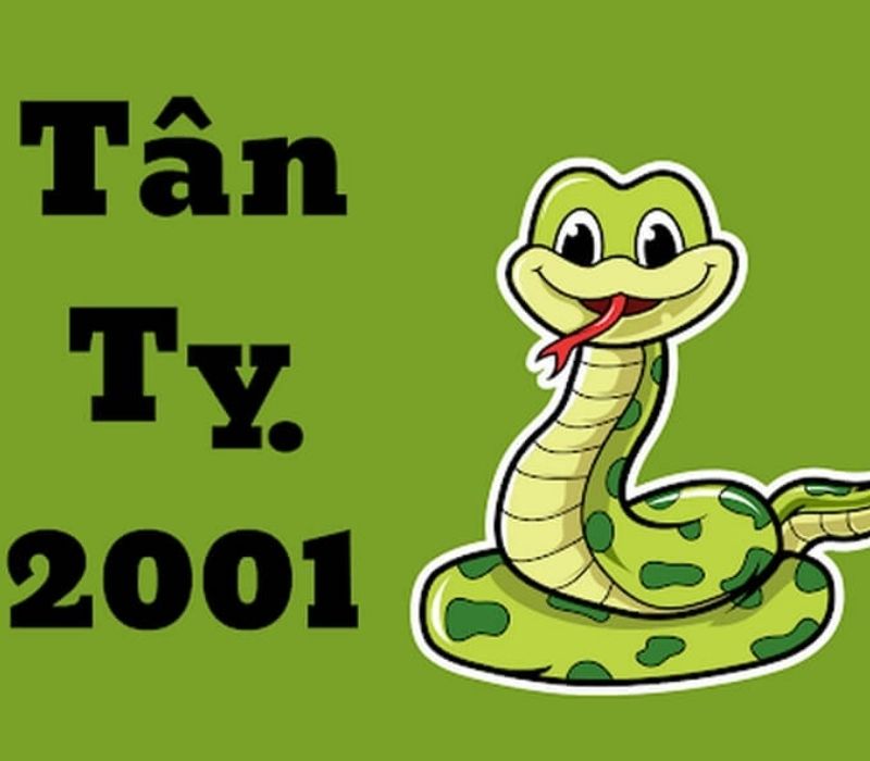 tu-vi-tuoi-tan-ty-2001-1