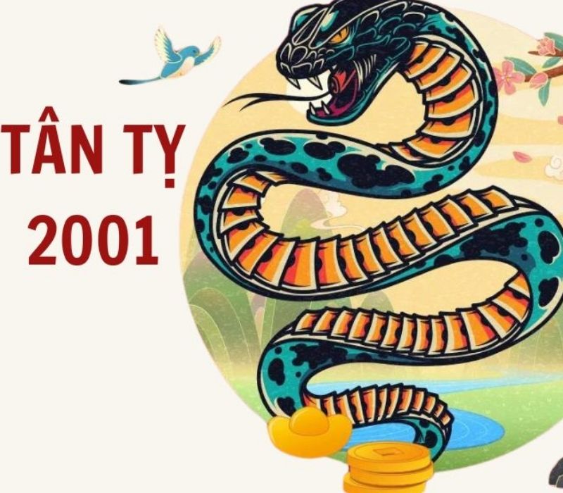 tu-vi-tuoi-tan-ty-2001-2